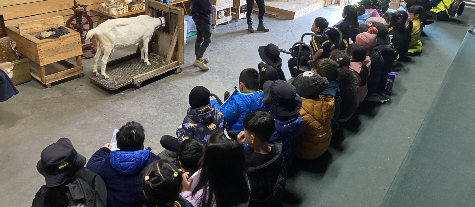 Burwood East Primary School